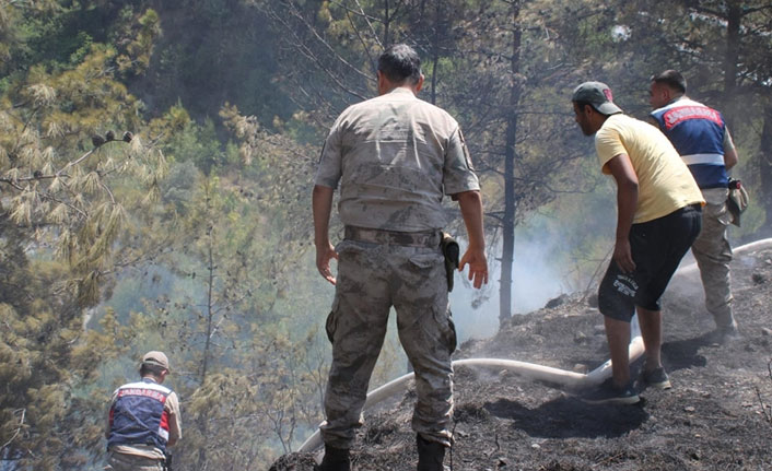 Hatay'da da orman yangını çıktı!