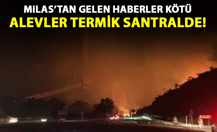 Milas'ta alevler termik santrale sıçradı