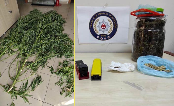 Trabzon’da uyuşturucu operasyonu,  Hint keneviri ele geçirildi. 5 Ağustos 2021