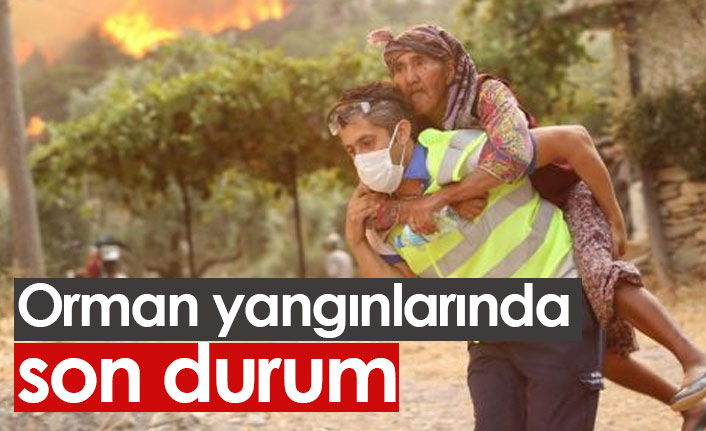 Orman yangınlarında son durum