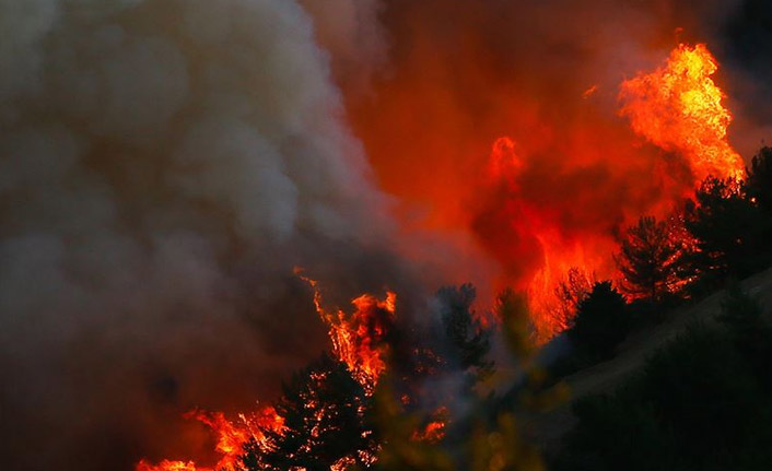 Orman Yangınlarında son durum! Cumhurbaşkanı Erdoğan açıkladı