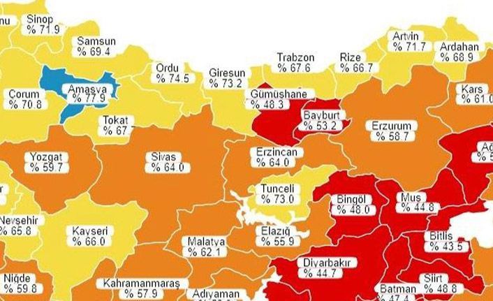 Trabzon ve çevresinde aşılamada son durum!