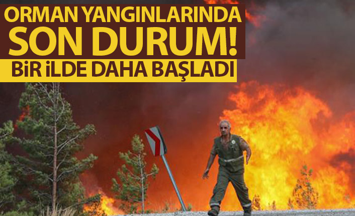 Orman yangınlarında son durum! Bir ilde daha başladı
