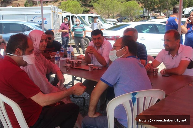 Trabzon Milletvekili Balta yangın bölgesinde