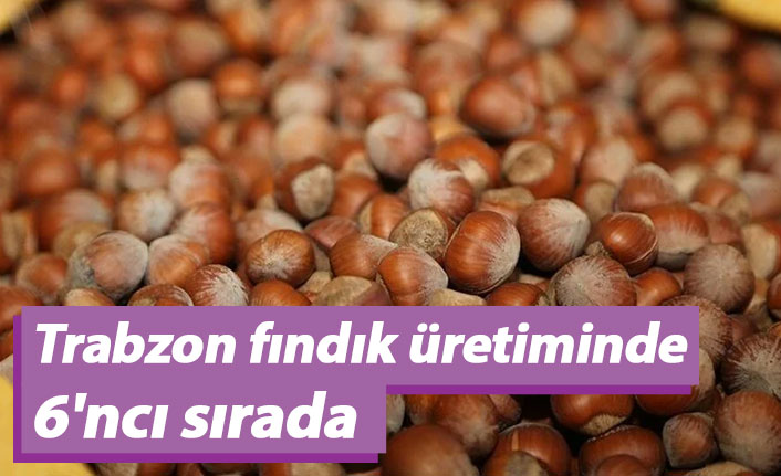Trabzon fındık üretiminde 6'ncı sırada