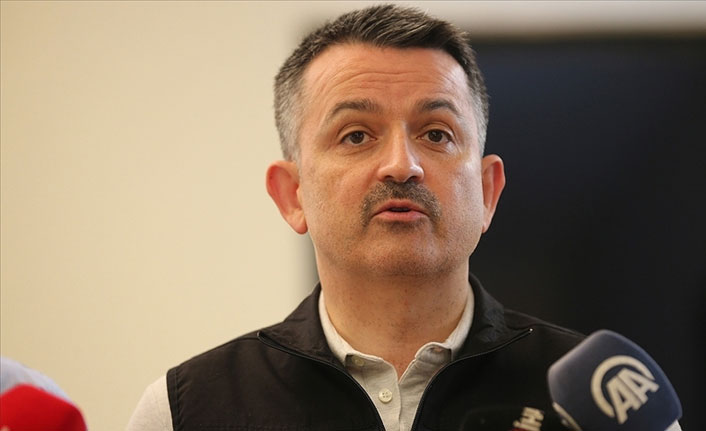 Bakan Pakdemirli duyurdu! Milas ve Köyceğiz dışında orman yangınları söndürüldü