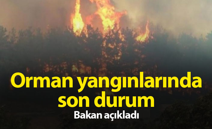 Bakan açıkladı, yangınlarda son durum ne?