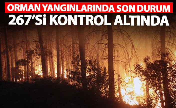 Orman yangınlarında son durum! 2 noktada devam ediyor