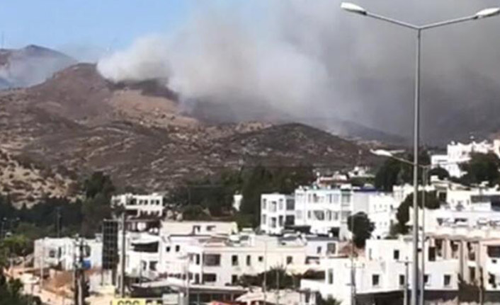Bodrum'da orman yangını başladı