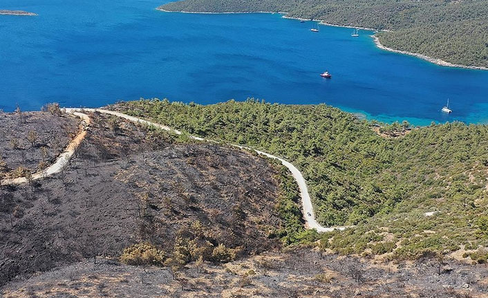 Muğla Milas yangını kontrol altına alındı