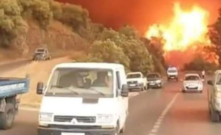 Cezayir'de orman yangını! 5 Asker öldü