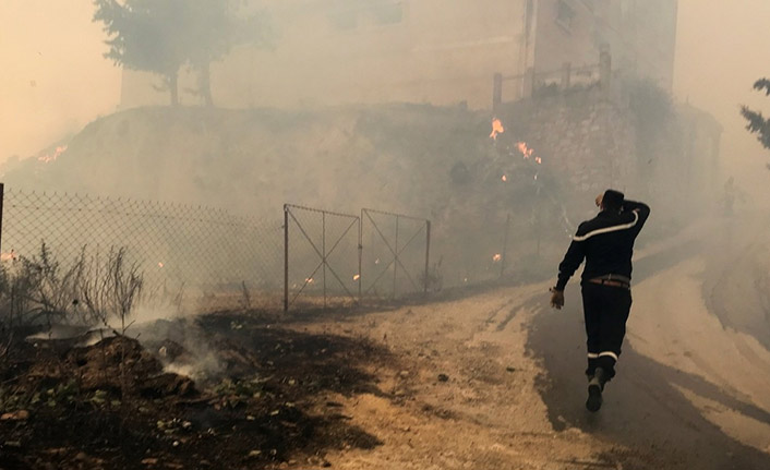 Orman yangınlarında ölü sayısı 42'ye yükseldi