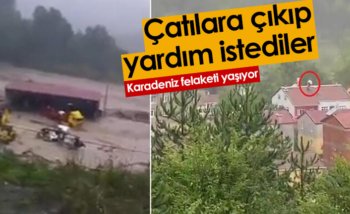 Karadeniz felaketi yaşıyor! Çatılara çıkıp yardım istediler