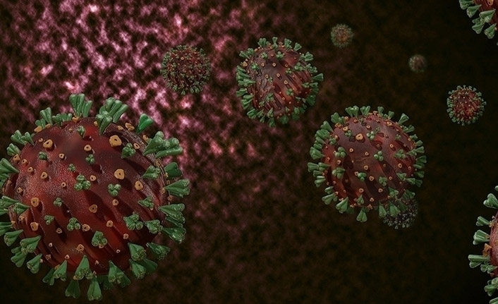 DSÖ'den yeni ekip! Kovid-19'un kökenini araştıracaklar