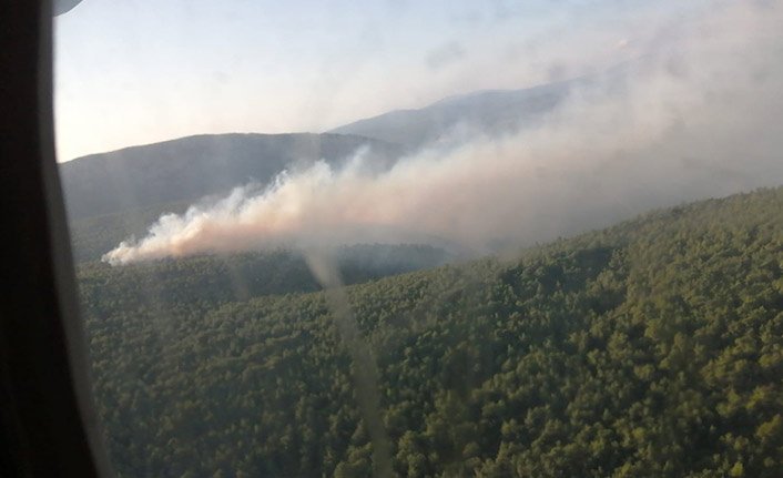 İzmir'de bugün sabah saatlerinde orman yangını çıktı. 14 Ağustos 2021