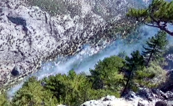 Yangın söndürme uçağı düştü