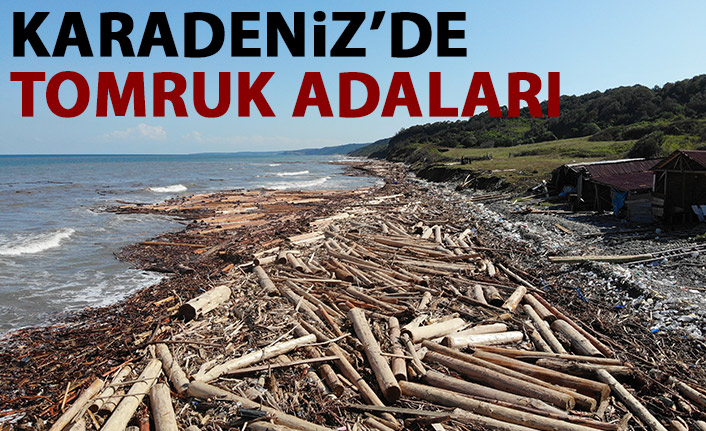 Karadeniz 'tomruk deniz' oldu