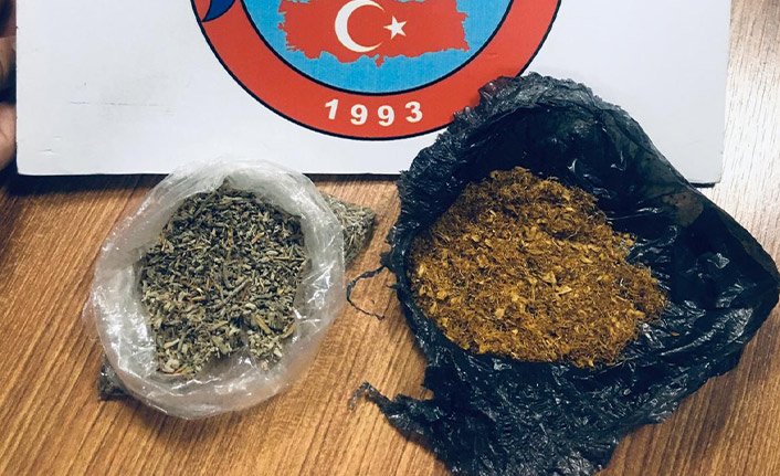 Trabzon’da bonzai ele geçirildi