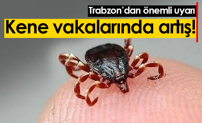 Trabzon'dan önemli uyarı! Kene vakalarında artış var