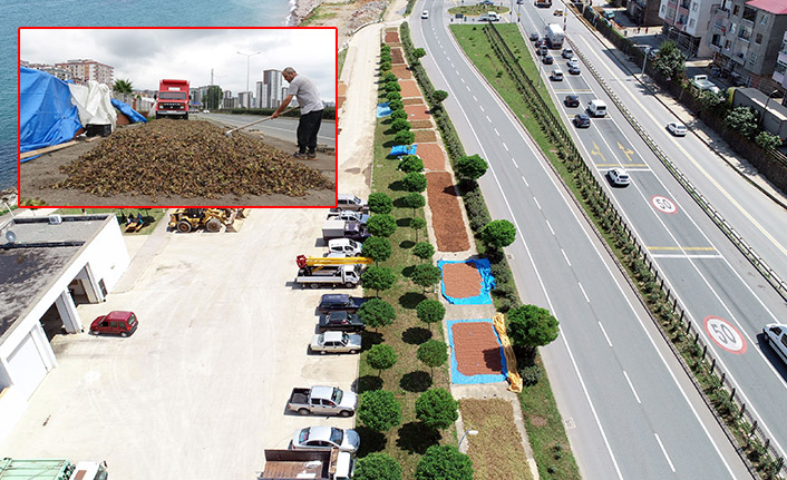 Trabzon'da üreticiler güneşi bekliyor