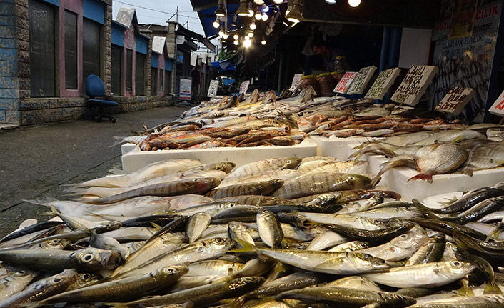 Trabzon'da o balık balıkçıları üzdü