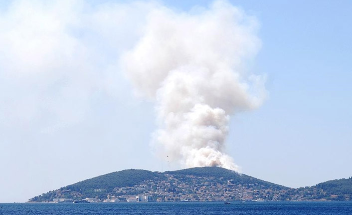 Heybeliada'da ormanlık alanda yangın çıktı