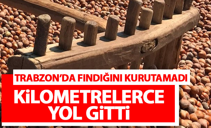 Trabzon'da hava açmayınca fındığını kurutmak için Bayburta gitti