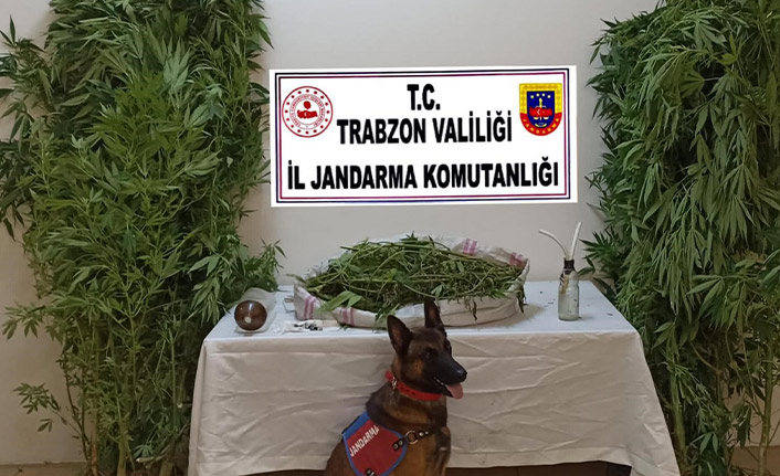 Trabzon’da uyuşturucu imalathanesine baskın. 25 Ağustos 2021