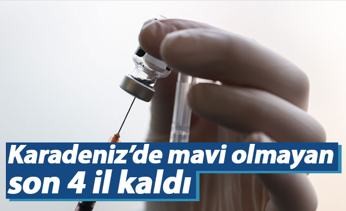 Karadeniz’de ‘mavi’ olmayan son 4 il kaldı