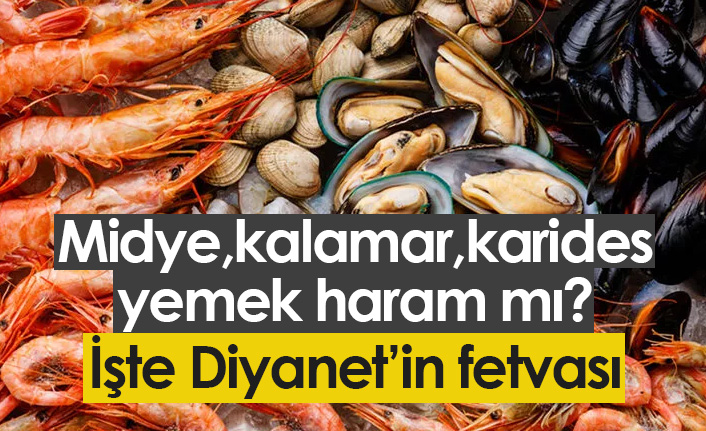 Midye,kalamar,karides yemek haram mı? İşte Diyanet'in fetvası