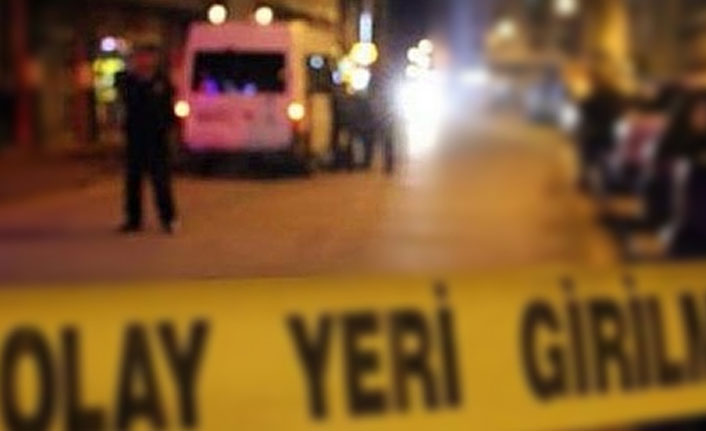 Miras kavgasında kardeşini demir çubukla öldürdü