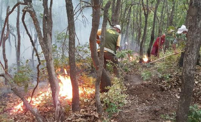 OGM: 6 orman yangını kontrol altında