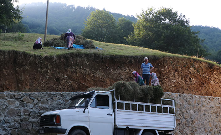 Karadeniz yaylalarında kadınlar kışa hazırlık için çayır biçiyor
