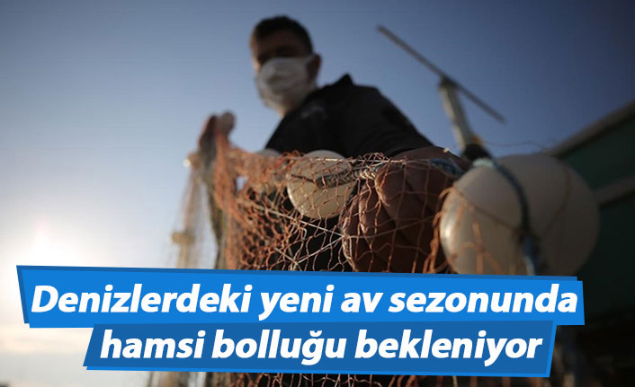 Denizlerdeki yeni av sezonunda hamsi bolluğu bekleniyor