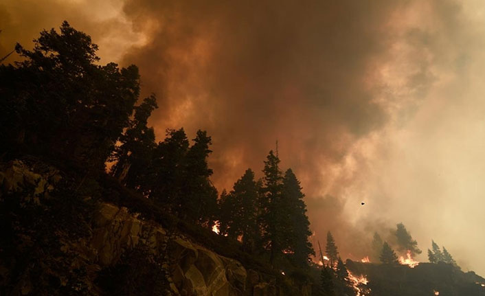 California'daki 'Caldor' yangınında ağır bilanço