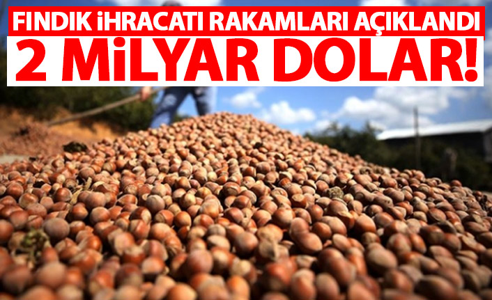 Türkiye'nin fındık ihracatı 2 milyar doları aştı
