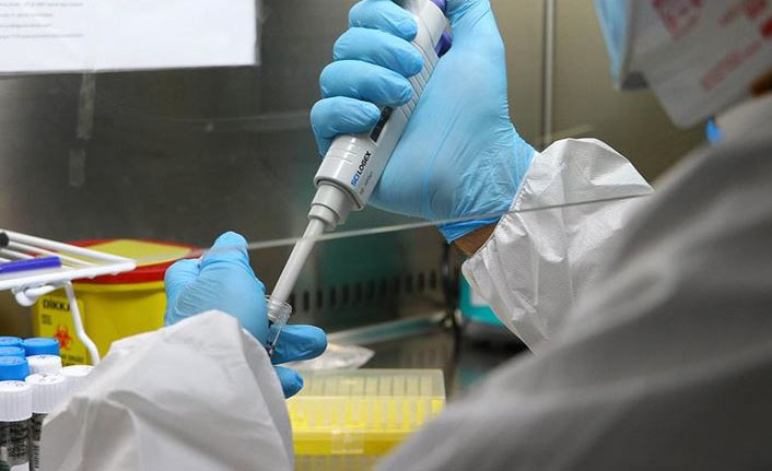 Bakanlıktan 81 ile genelge! PCR şartı