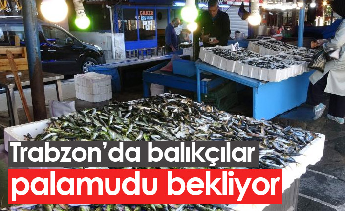 Trabzon'da balıkçılar palamudu bekliyor