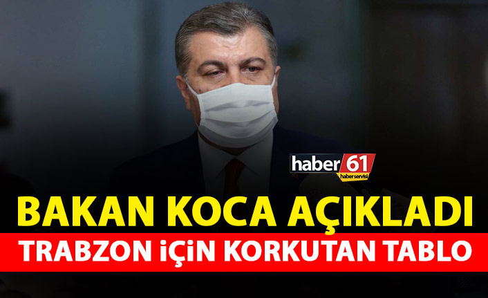 Trabzon’da vaka oranı yükseldi: 100 binde 306,67