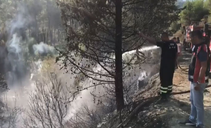 Amanoslarda orman yangını