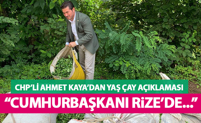 CHP’li Ahmet Kaya: "Yaş çay 2,40 TL Cumhurbaşkanı’nın derdi Millet İttifakı"