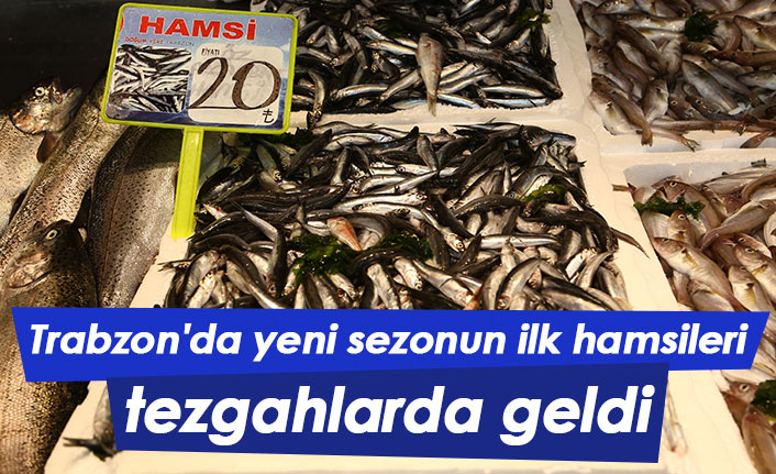 Trabzon'da yeni sezonun ilk hamsileri tezgahlarda geldi