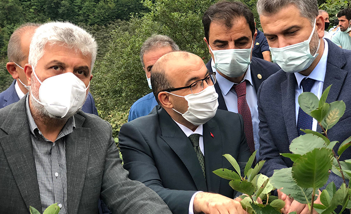 Akçaabat'ta yeni gelir kapısı 'Aronya'