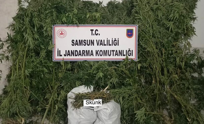 12 bin gram uyuşturucu ele geçirildi