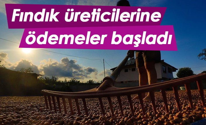 Fındık üreticilerine ödemeler başladı