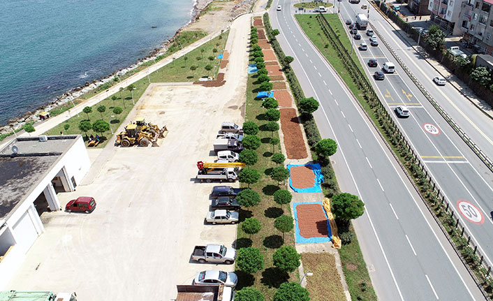 Trabzon'da hasat edilen fındıklara yağışlı hava engeli