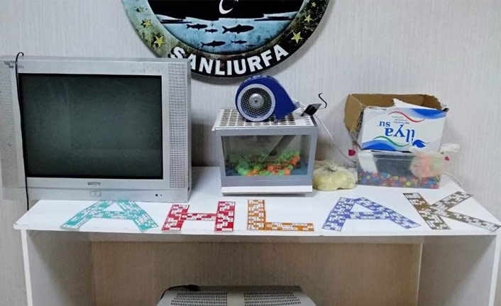 Kumar baskınında 30 kişiye para cezası verildi