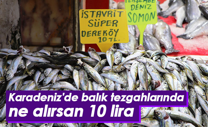 Karadeniz'de balık tezgahlarında ne alırsan 10 TL