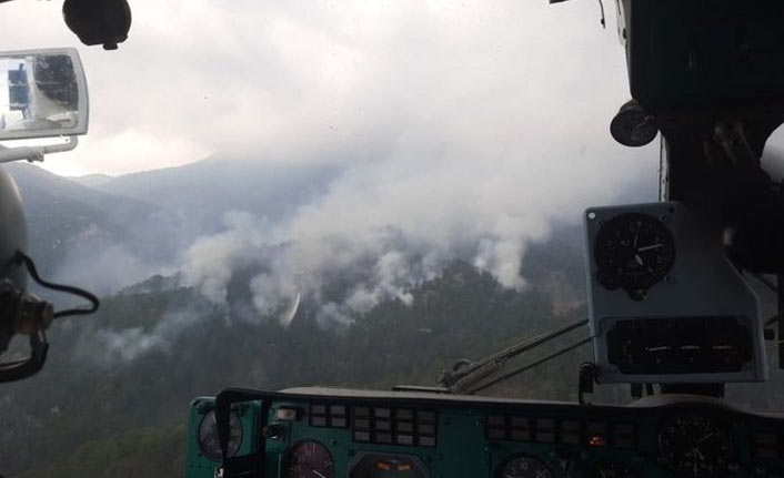 Antalya'daki orman yangınından güzel haber