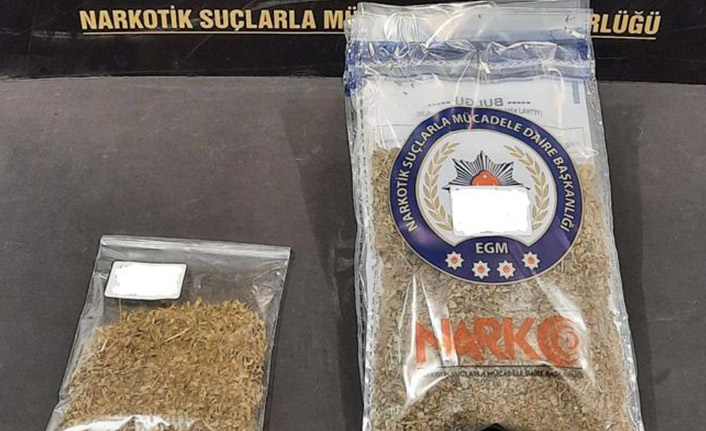 Samsun'da bonzai ile yakalanan bir kişi gözaltında